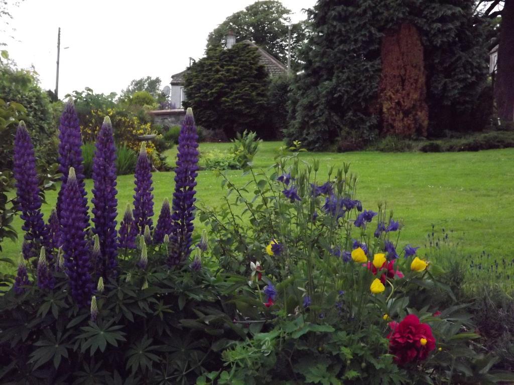 Hillcrest House Newton Stewart Kültér fotó